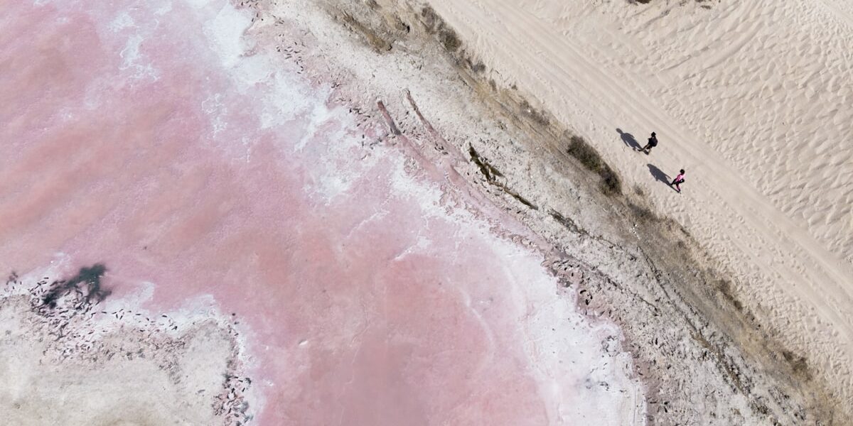 Hollyland Lark M2 Wireless Mic Review